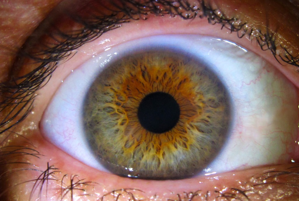 photo zoomée d'un œil